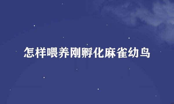 怎样喂养刚孵化麻雀幼鸟