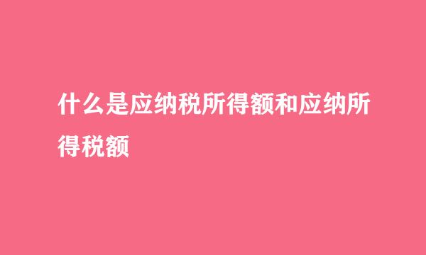 什么是应纳税所得额和应纳所得税额