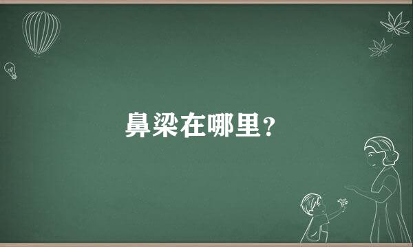 鼻梁在哪里？