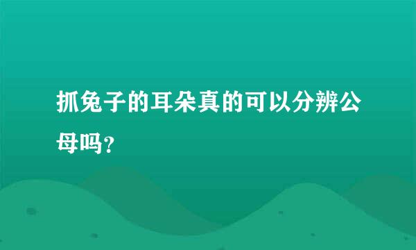 抓兔子的耳朵真的可以分辨公母吗？