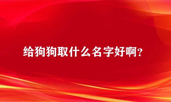 给狗狗取什么名字好啊？