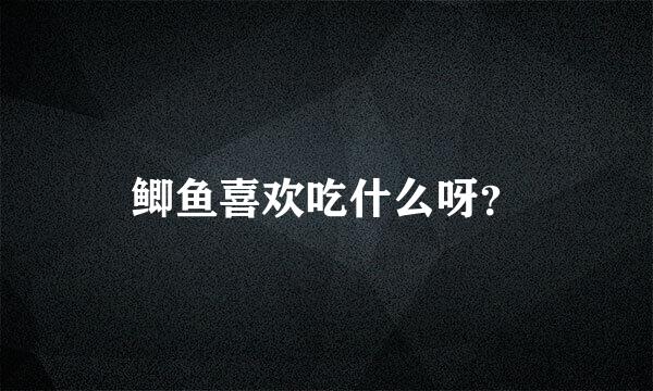 鲫鱼喜欢吃什么呀？