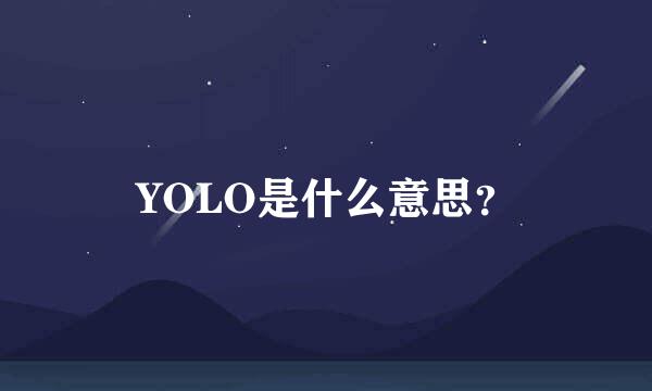 YOLO是什么意思？