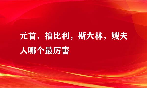 元首，搞比利，斯大林，嫂夫人哪个最厉害