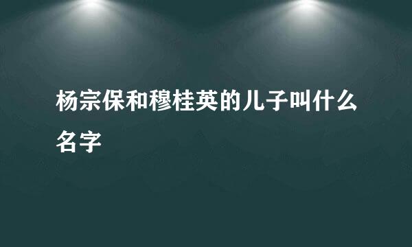 杨宗保和穆桂英的儿子叫什么名字