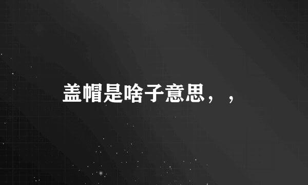 盖帽是啥子意思，，