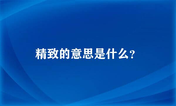 精致的意思是什么？