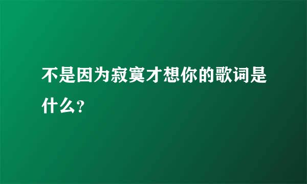 不是因为寂寞才想你的歌词是什么？