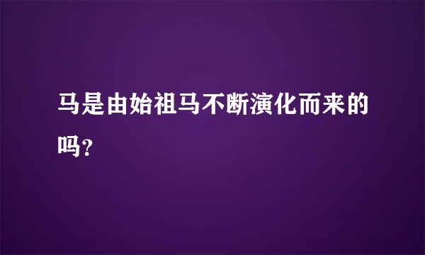 马是由始祖马不断演化而来的吗？