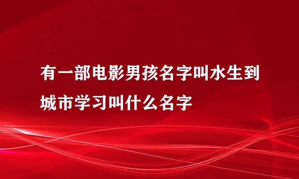 有一部电影男孩名字叫水生到城市学习叫什么名字