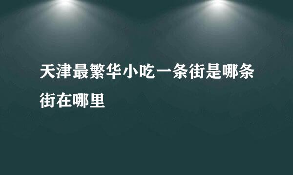 天津最繁华小吃一条街是哪条街在哪里