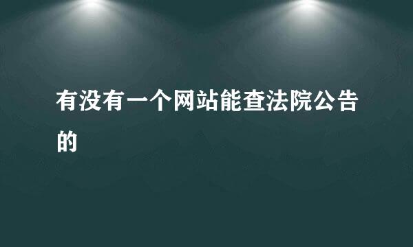 有没有一个网站能查法院公告的