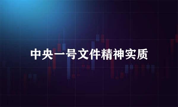 中央一号文件精神实质