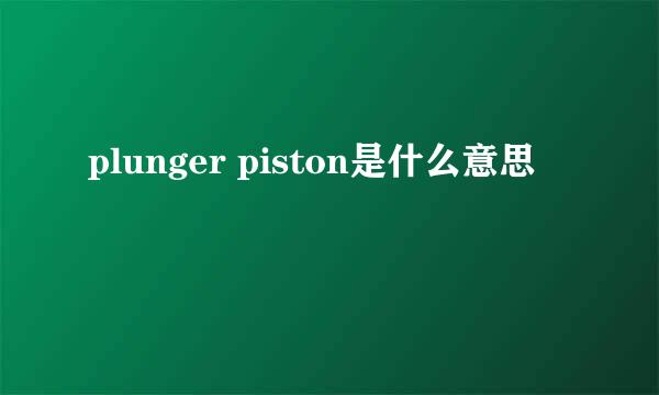 plunger piston是什么意思