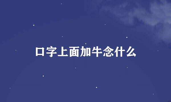 口字上面加牛念什么