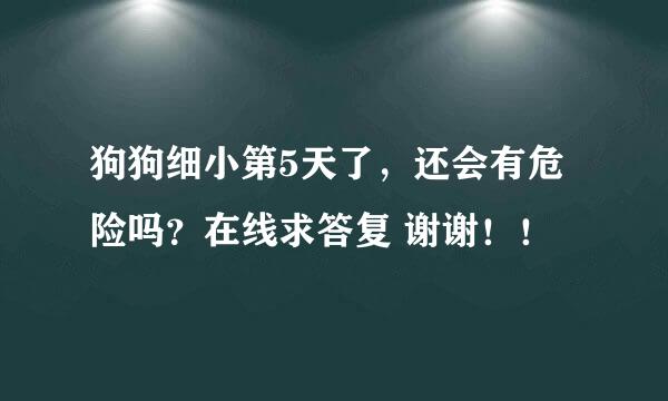 狗狗细小第5天了，还会有危险吗？在线求答复 谢谢！！