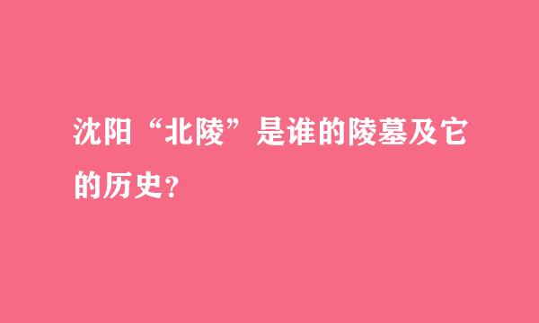 沈阳“北陵”是谁的陵墓及它的历史？