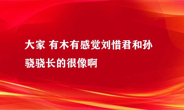 大家 有木有感觉刘惜君和孙骁骁长的很像啊