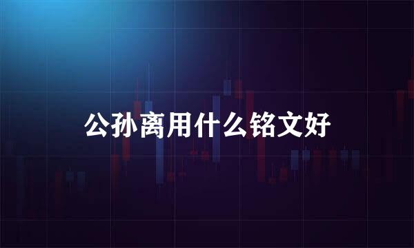 公孙离用什么铭文好