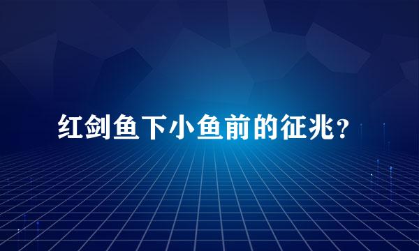 红剑鱼下小鱼前的征兆？