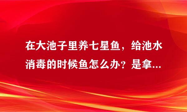 在大池子里养七星鱼，给池水消毒的时候鱼怎么办？是拿出来还是直接就消毒？