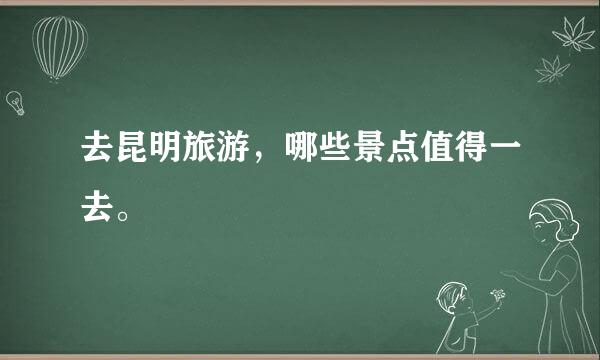 去昆明旅游，哪些景点值得一去。