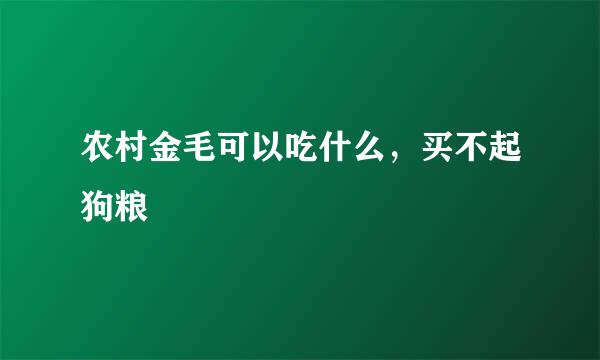 农村金毛可以吃什么，买不起狗粮