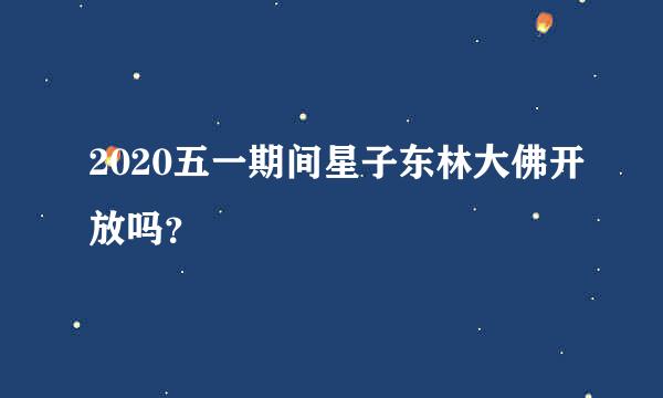 2020五一期间星子东林大佛开放吗？