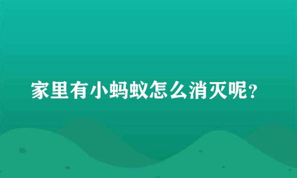 家里有小蚂蚁怎么消灭呢？