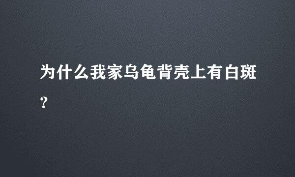 为什么我家乌龟背壳上有白斑？