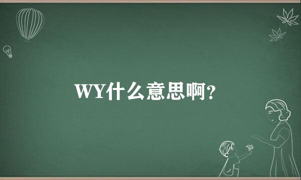 WY什么意思啊？