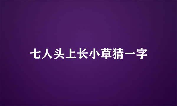 七人头上长小草猜一字