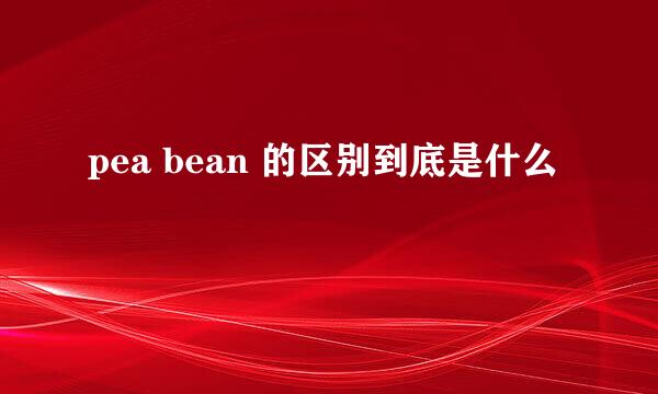 pea bean 的区别到底是什么