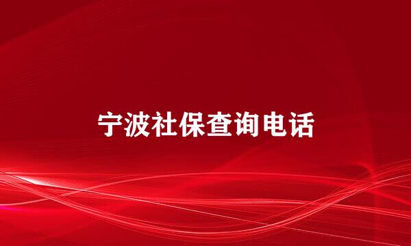 宁波社保查询电话