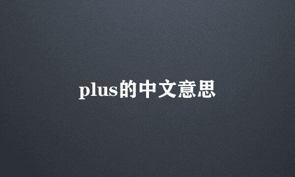 plus的中文意思