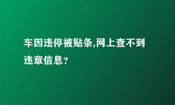 车因违停被贴条,网上查不到违章信息？