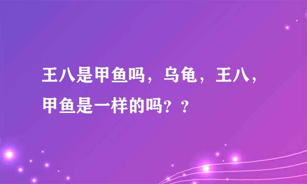 王八是甲鱼吗，乌龟，王八，甲鱼是一样的吗？？