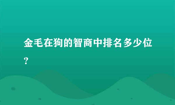 金毛在狗的智商中排名多少位？