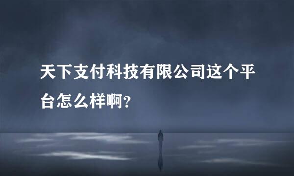 天下支付科技有限公司这个平台怎么样啊？