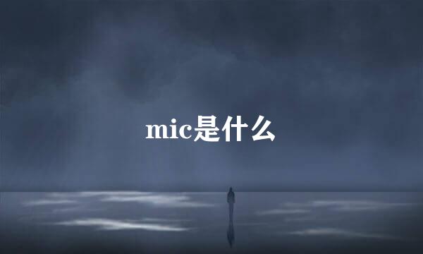 mic是什么