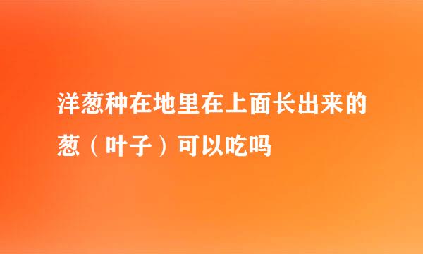 洋葱种在地里在上面长出来的葱（叶子）可以吃吗