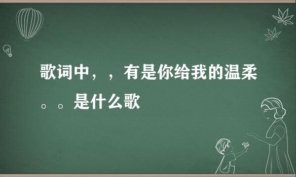 歌词中，，有是你给我的温柔。。是什么歌