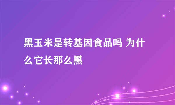 黑玉米是转基因食品吗 为什么它长那么黑