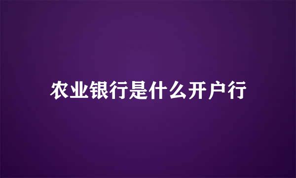 农业银行是什么开户行