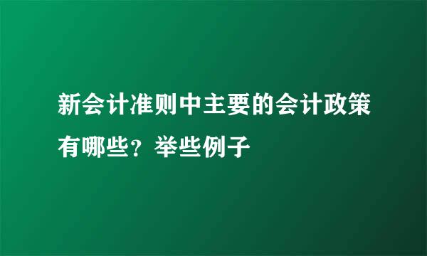 新会计准则中主要的会计政策有哪些？举些例子