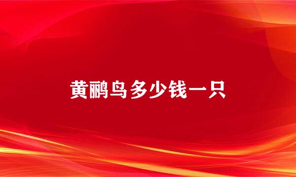 黄鹂鸟多少钱一只