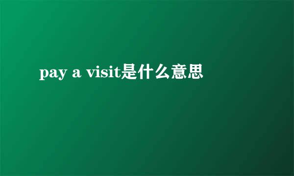 pay a visit是什么意思