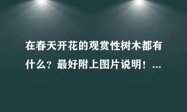 在春天开花的观赏性树木都有什么？最好附上图片说明！谢谢各位了！