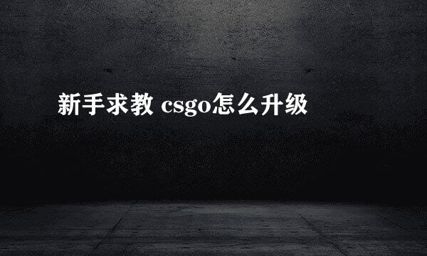 新手求教 csgo怎么升级