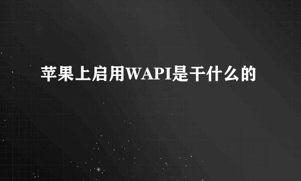 苹果上启用WAPI是干什么的